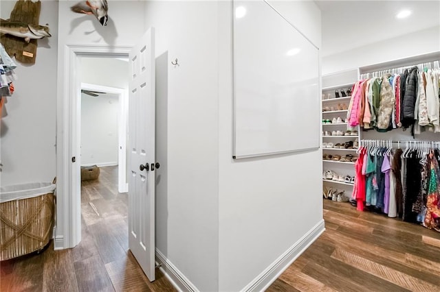 spacious closet featuring dark hardwood / wood-style flooring