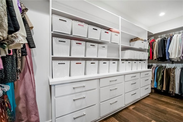 spacious closet with dark wood-type flooring