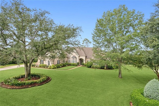 view of front of property with a front lawn