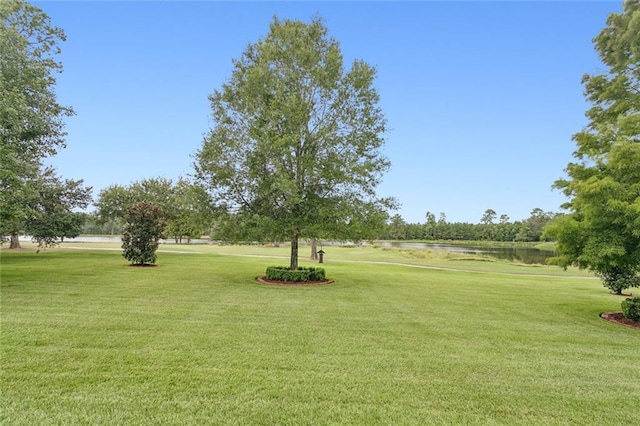 view of home's community with a lawn