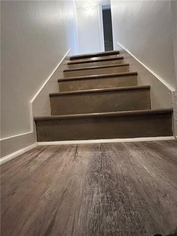 stairway featuring wood-type flooring