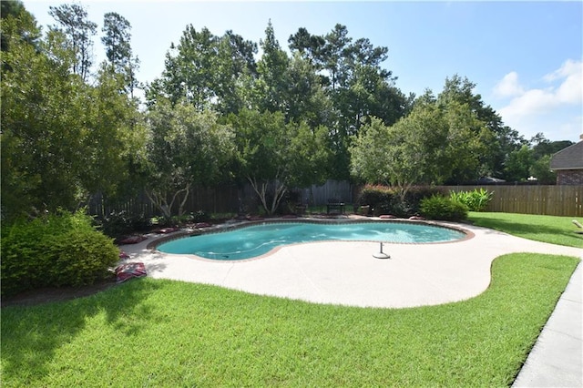 view of swimming pool with a yard