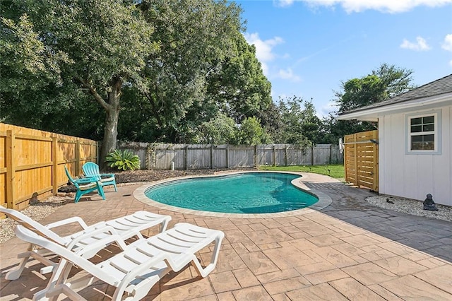 view of pool featuring a patio area