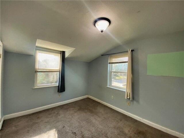 additional living space featuring vaulted ceiling and carpet floors