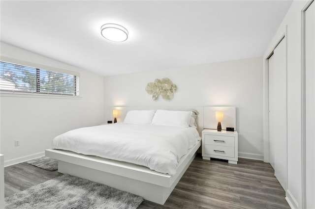 bedroom featuring dark wood-type flooring and a closet