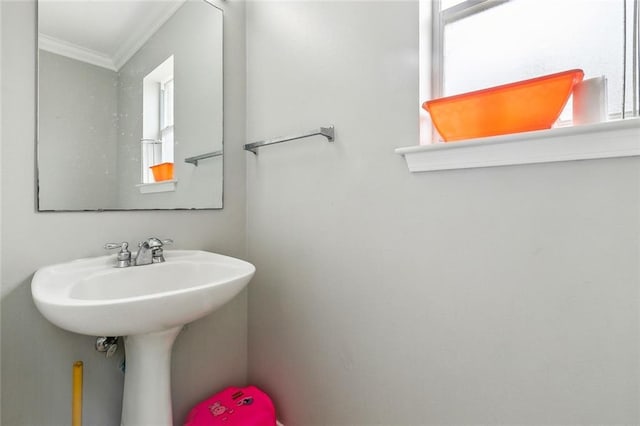 bathroom featuring crown molding