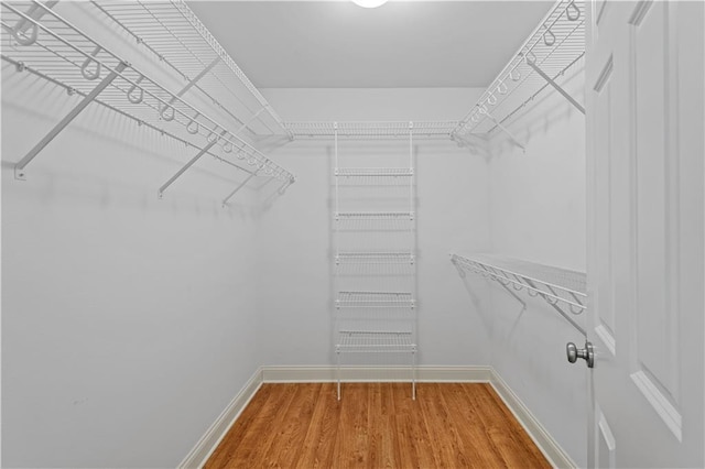 spacious closet featuring hardwood / wood-style flooring