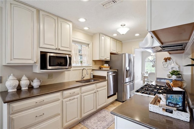 kitchen with crown molding, appliances with stainless steel finishes, and sink