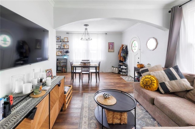 living room featuring crown molding and dark wood-type flooring