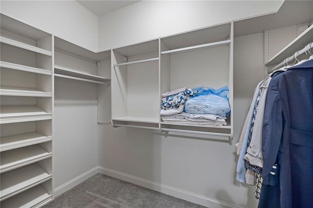 walk in closet featuring carpet floors