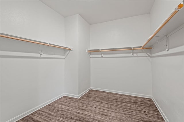 walk in closet featuring dark hardwood / wood-style flooring