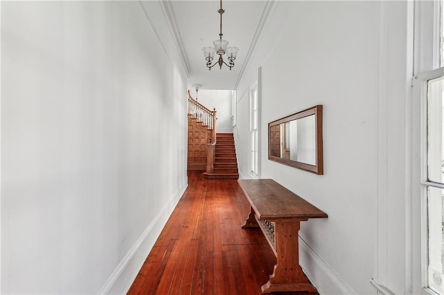 corridor featuring crown molding, dark hardwood / wood-style flooring, and a notable chandelier