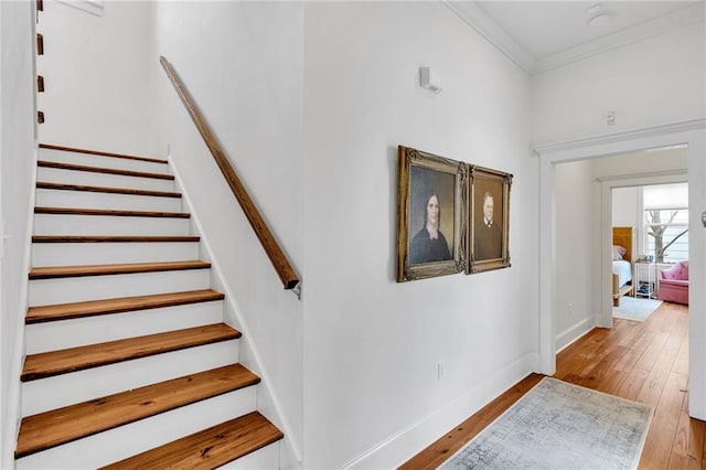 stairs with ornamental molding and wood-type flooring