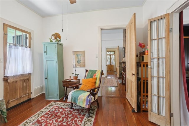 sitting room featuring dark wood-type flooring