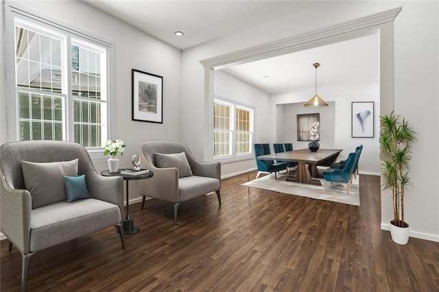 living area featuring a healthy amount of sunlight, baseboards, and wood finished floors