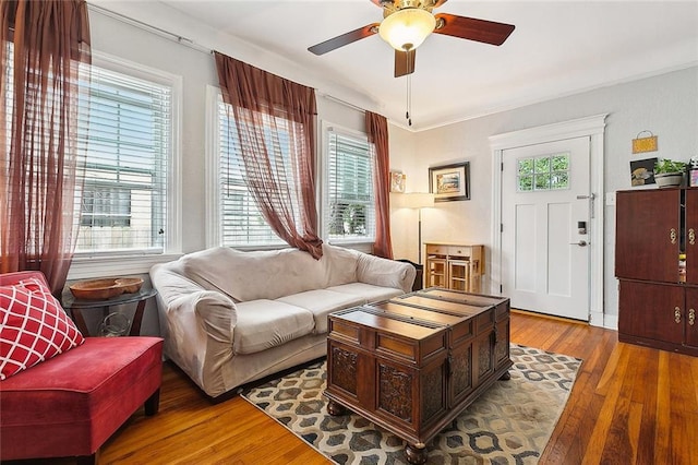 living room featuring ceiling fan and light wood-type flooring