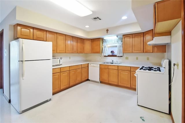 kitchen with a tray ceiling, sink, and white appliances