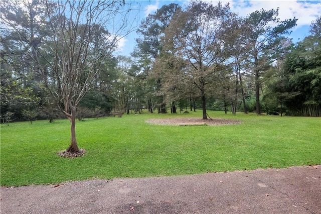 84650 Camus Ln, Covington, LA 70435 - photo 4