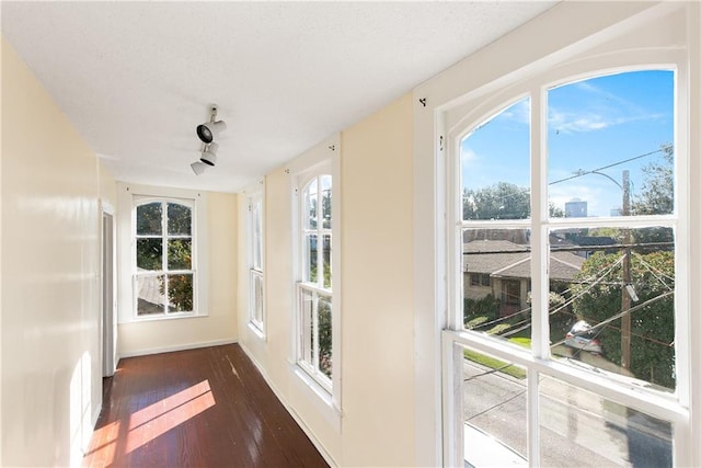 entryway featuring dark hardwood / wood-style flooring