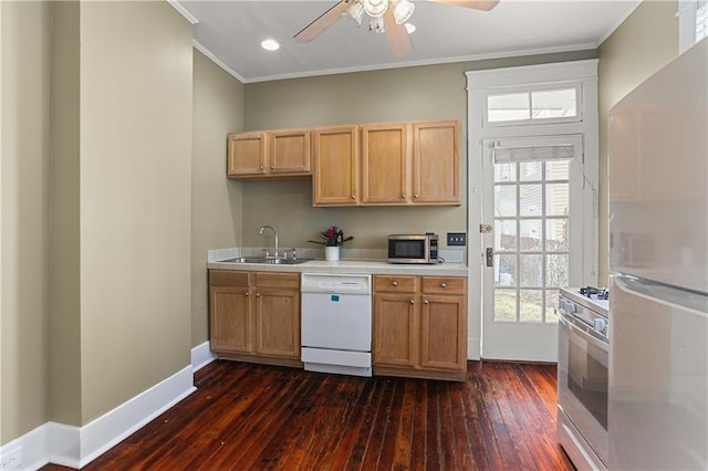 kitchen with sink, white appliances, ornamental molding, dark hardwood / wood-style flooring, and ceiling fan