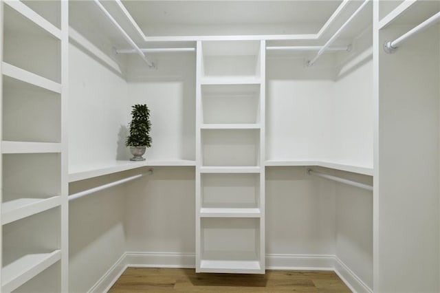 spacious closet featuring wood-type flooring