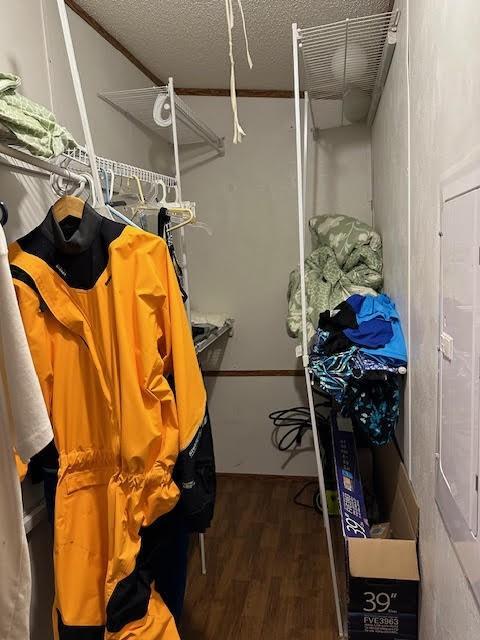 spacious closet featuring dark wood-type flooring