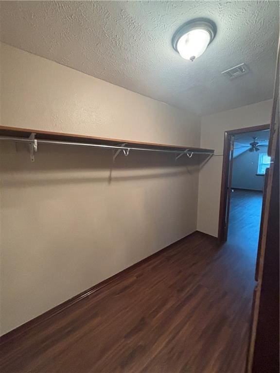 spacious closet with dark hardwood / wood-style floors