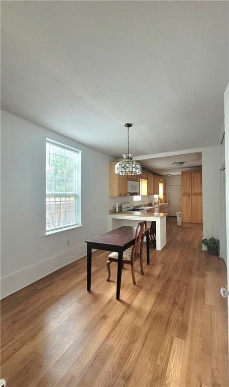 dining room with an inviting chandelier and light hardwood / wood-style floors