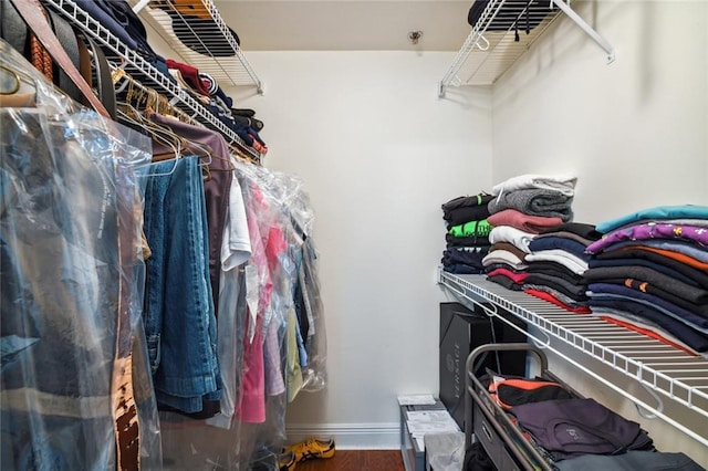 spacious closet with hardwood / wood-style floors