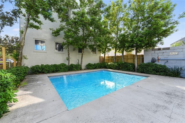 view of pool with a patio area