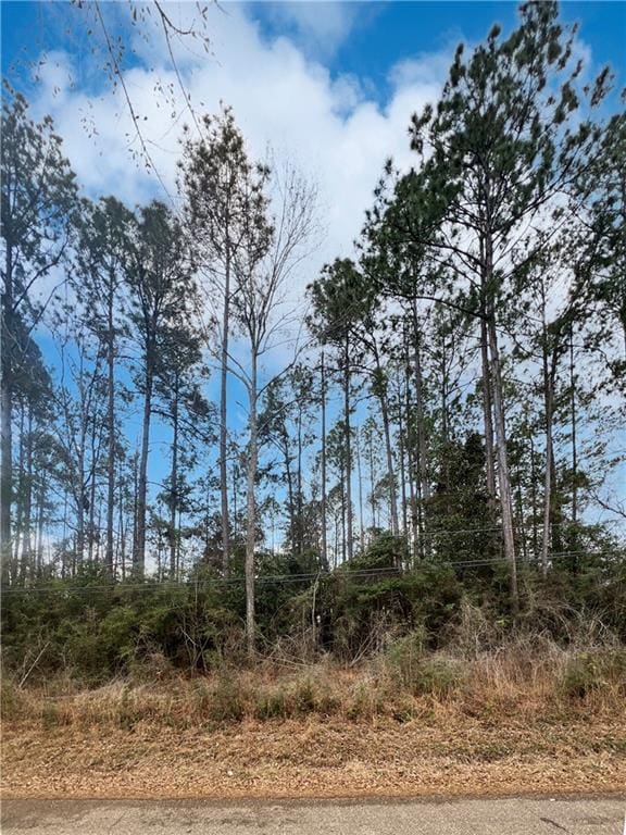 LOT2 Pinewood Rd, Bogalusa LA, 70427 land for sale