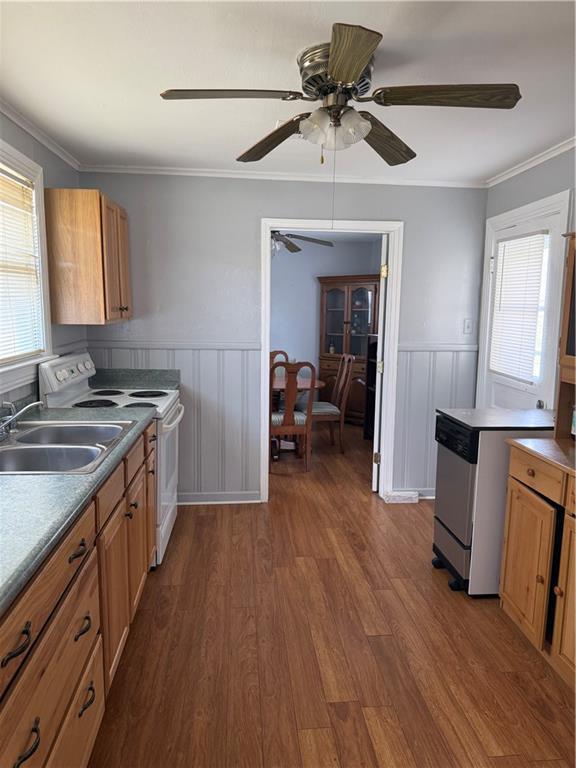 kitchen with white electric range, sink, ornamental molding, a wealth of natural light, and hardwood / wood-style flooring