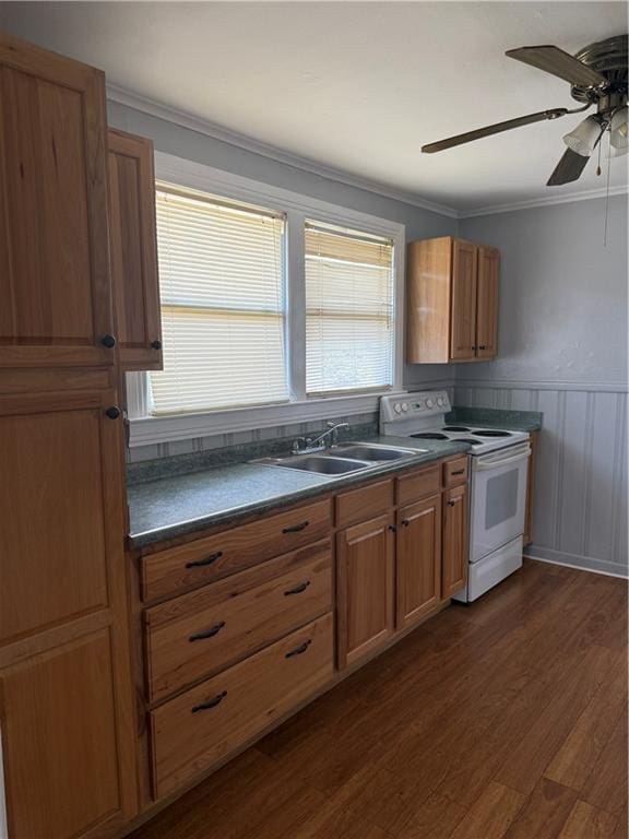 kitchen with white range with electric stovetop, sink, dark hardwood / wood-style flooring, ornamental molding, and ceiling fan