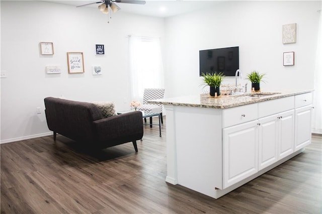 living room featuring ceiling fan, dark hardwood / wood-style floors, and sink