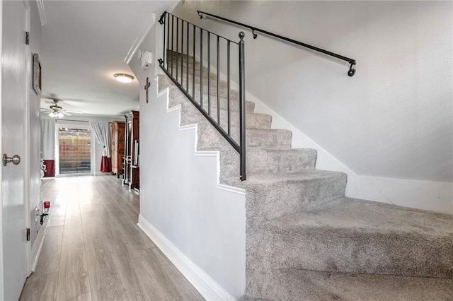 staircase featuring hardwood / wood-style floors and ceiling fan