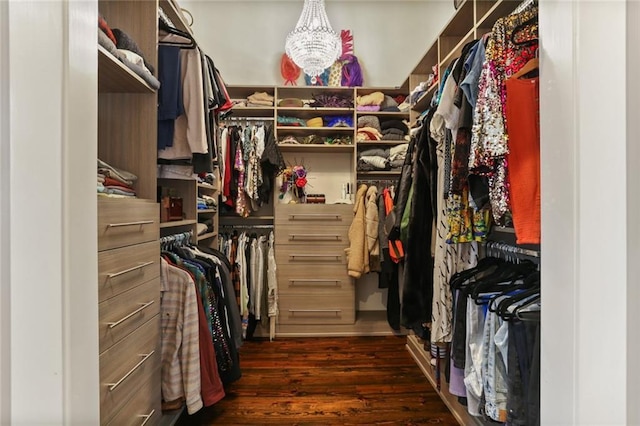 spacious closet featuring dark hardwood / wood-style floors and a chandelier