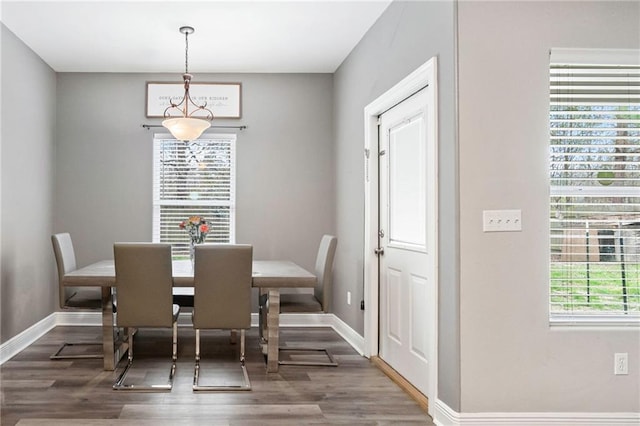 dining space with hardwood / wood-style flooring