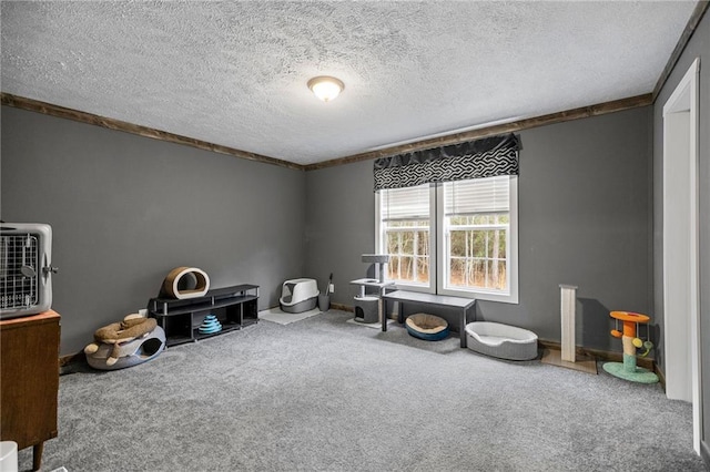 misc room with carpet flooring and a textured ceiling