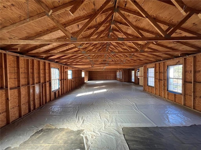 miscellaneous room with vaulted ceiling and a healthy amount of sunlight