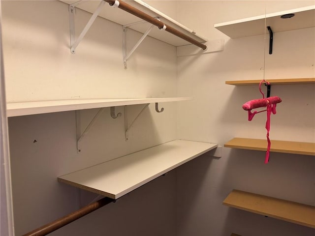205 Hollow Rock Ct, Slidell, LA 70461 - view of walk in closet