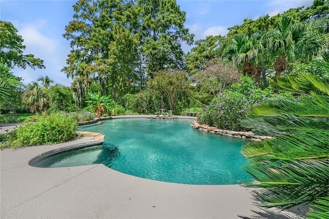 view of swimming pool