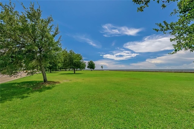 view of home's community with a yard