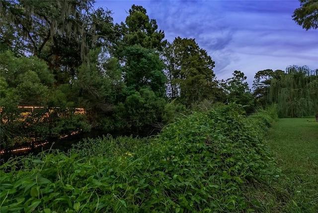 view of nature at dusk