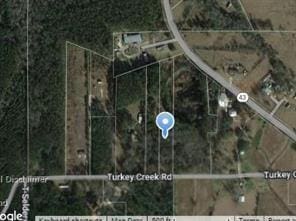 Listing photo 2 for 3.05AC Turkey Creek Rd, Independence LA 70443