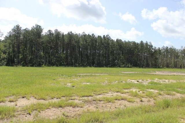 24755B-1 442nd Hwy, Independence, LA 70443 - photo 1