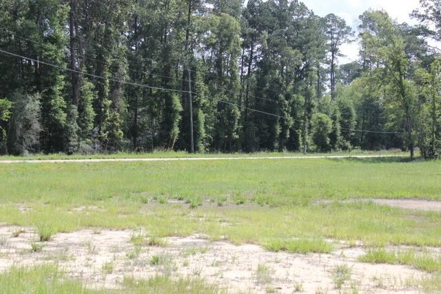 24755B-1 442nd Hwy, Independence, LA 70443 - photo 2