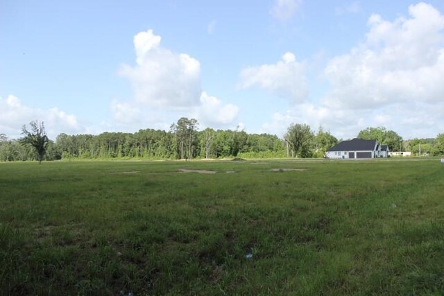 24755B-1 442nd Hwy, Independence, LA 70443 - photo 4