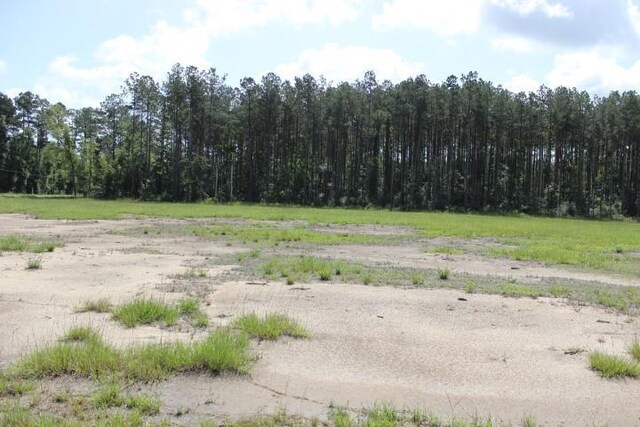 24755B-1 442nd Hwy, Independence, LA 70443 - photo 6