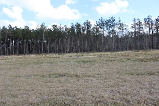 24755B-3 442nd Hwy, Independence LA, 70443 land for sale