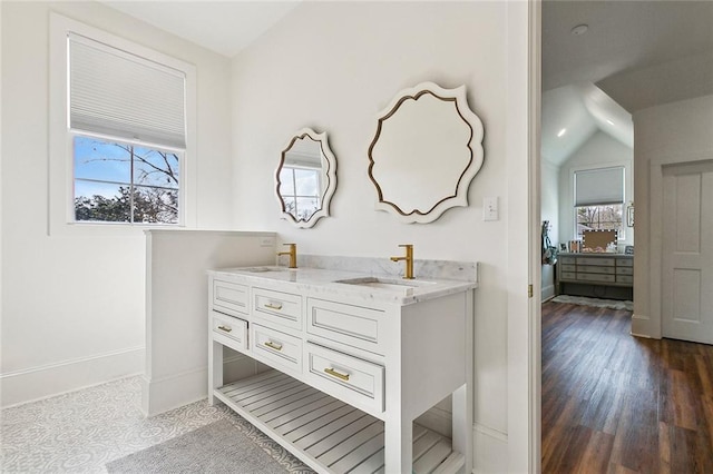 bathroom with hardwood / wood-style flooring, vanity, and plenty of natural light